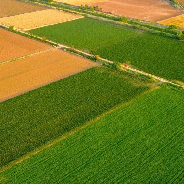 põllumaa 10